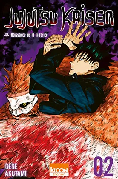 Jujutsu Kaisen T02 (2) (Shonen/Jujutsu Kaisen) (French Edition)