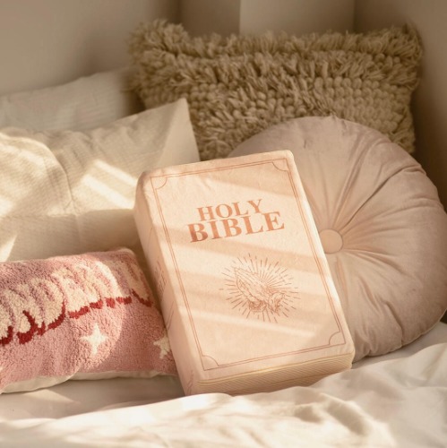 'Positive Living' Bible Pillow | Default Title