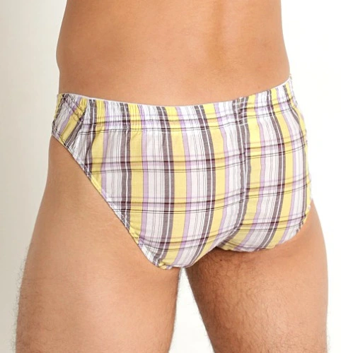 Briefs ($40)
