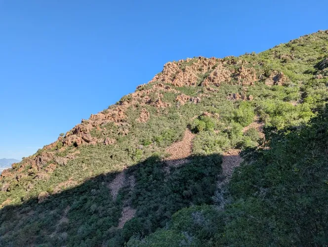 Dinner without Jake ($77.07)