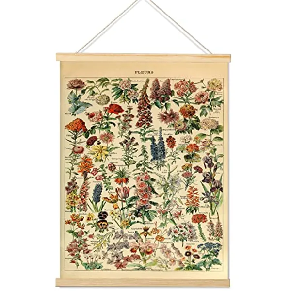 Armindou Vintage Flowers Poster Prints, Cottagecore Plant Floral Reference Chart Canvas Art Wall Decor, Rustic Botanical Fleurs Hanging Posters for Bedroom Room Aesthetic Decors Frame,16 x 22 Inches
