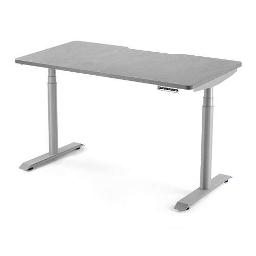 HINOMI S1 Home Office Standing Desk | Grey