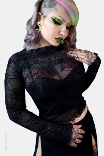 Spider Web Mesh Long Sleeve Crop Top | 3XL