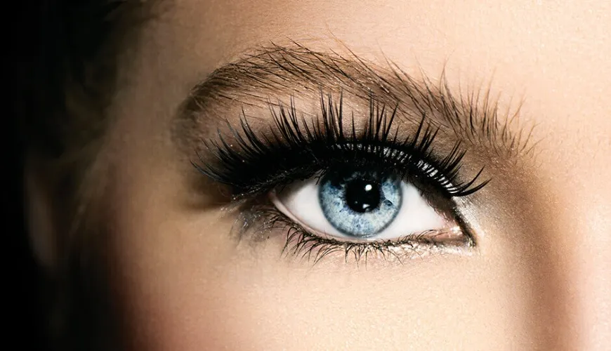 Eyelashes