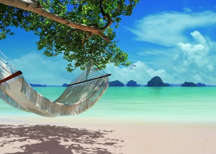 Traveling to another country
