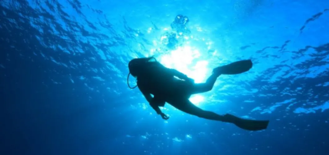 Scuba diving (1 dive)