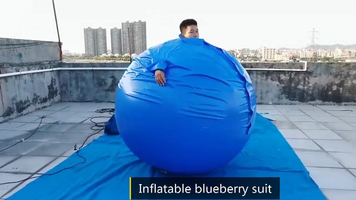 Inflatable Blueberry Ball Suit