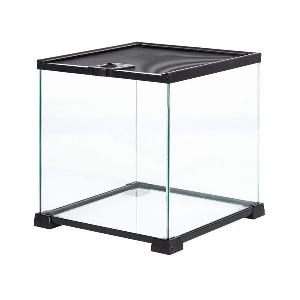 REPTIZOO Glass Mini Reptile Terrarium 8 Gallon, Small Reptile Tank Breeding Cage 12" x 12" x 12" for Leopard Gecko Tarantula Young Lizard Insects, Top Screen Ventilation & Feeding