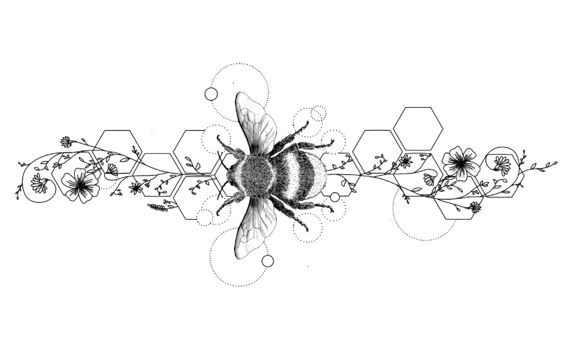 Honeycomb