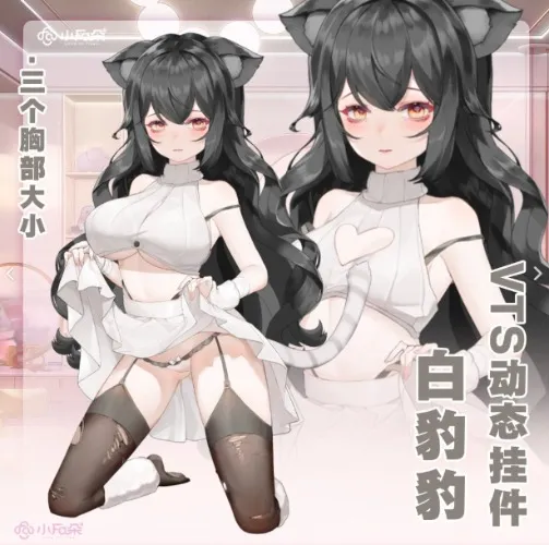 Panty Shot Model Outfit