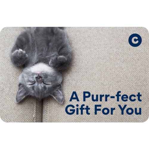 Chewy gift card