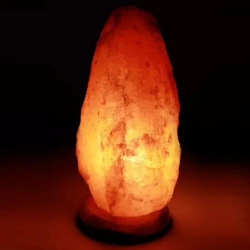 d'aplomb 100% Authentic Natural Himalayan Salt Lamp; Large Hand Carved Natural Chunk Pink Crystal Rock Salt from Himalayan Mountains; Dimmer Cord; 12 lbs - Medium