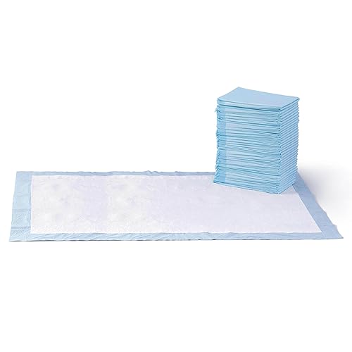 Amazon Basics Leakproof Dog and Puppy Pee Pads with 5-Layer Quick-Dry Surface for Potty Training, Standard Absorbency, Giant, 27.5 x 44 Inch, Pack of 40, Blue & White - Unscented - Giant (40 Count)
