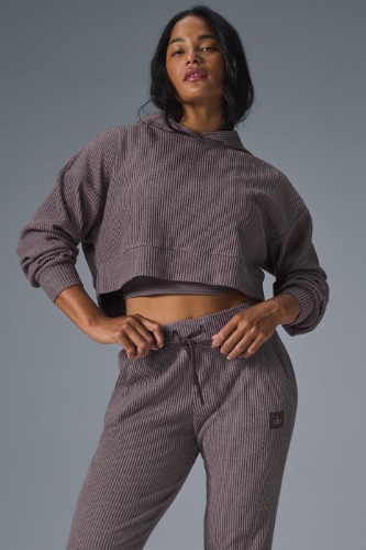 Muse Hoodie - Raisinette Heather | Raisinette Heather / S