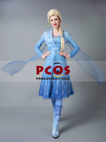 Frozen 2 Elsa Cosplay Costume mp005238