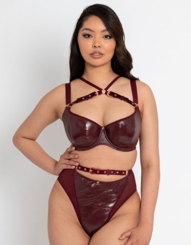 Scantilly Buckle Up Padded Half Cup Bra Oxblood | 34FF