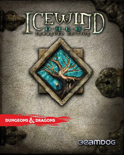 Icewind Dale: Enhanced Edition Steam CD Key