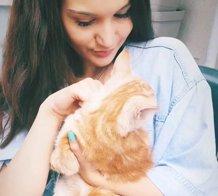 Bill Cat Food/ Cat Health 