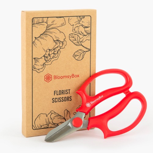 BloomsyBox Florist Clippers