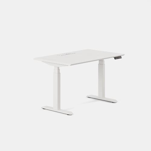 Standing Desk - White / White / 48 inches x 30 inches