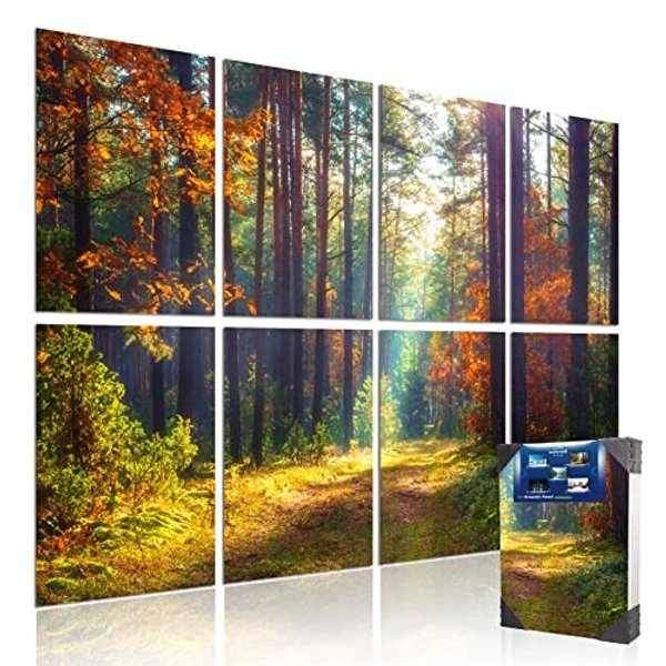 Mollywell Forest Autumn Art Acoustic Panel with Clear Picture | Large Soundproof Captivating Wall Art | 48"x32"x0.4" Sound Dampening Wall Decor Artwork | Adhesive Sound Proof Foam Wall Panels,8 Pack