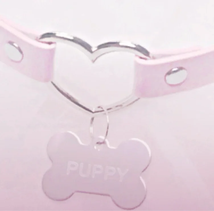 puppy love ۶ৎ