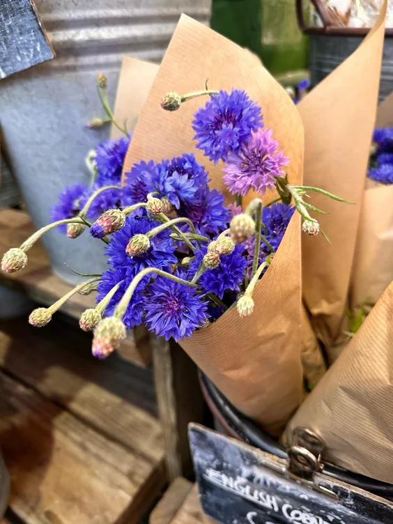 Buy Me Flowers