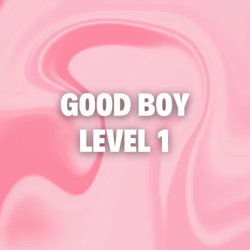 Good Boy : Level 1
