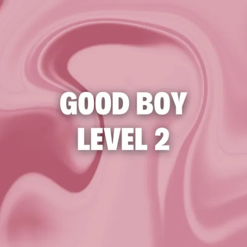 Good Boy : Level 2