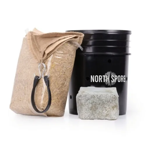 MushBucket Kit