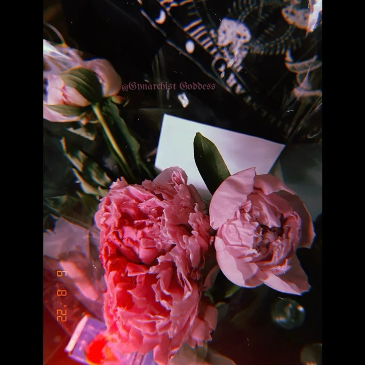 🌸