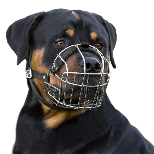 BronzeDog Dog Muzzle Wire Basket Rottweiler Adjustable Leather Straps - L