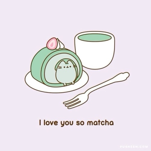 matcha