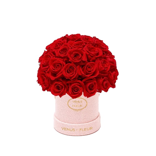 Mini Le Plein | Blush Suede / Red