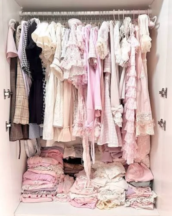 𝑃𝑟𝑖𝑛𝑐𝑒𝑠𝑠 𝐶𝑙𝑜𝑡ℎ𝑒𝑠