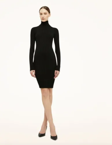 Merino Rib Dress | Wolford