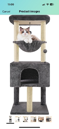 Cat house 🐾 