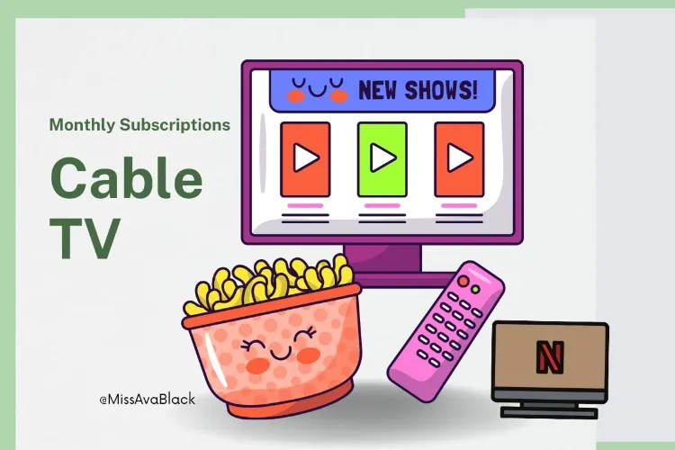 Cable TV subscriptions 