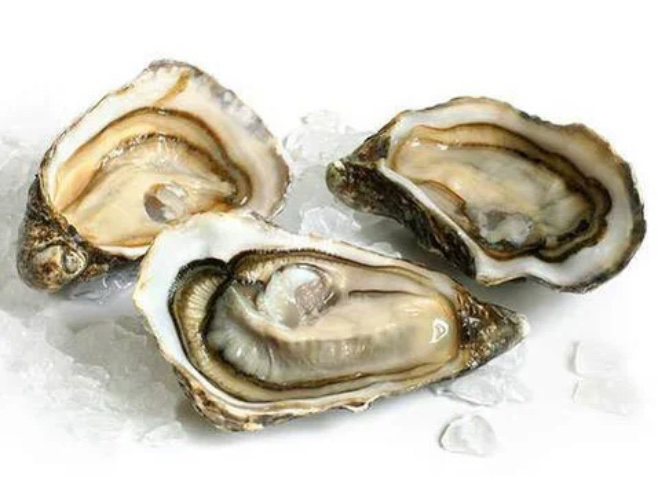 A Dozen Fresh Oysters