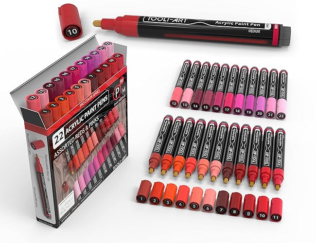 TOOLI-ART Acrylic Paint Pens 22 Assorted Pro Colour Series Markers Set 3mm Medium Tip for Rock Painting, Glass, Mugs, Wood, Metal, Canvas, DIY Projects, Non Toxic, Waterbased, Quick Drying. (REDS) - REDS - 1 count (Pack of 22)