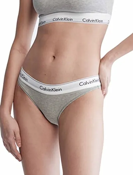 Calvin Klein Women's Modern Cotton Stretch Bikini Panty