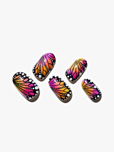 Multicolored Wings | Default Title