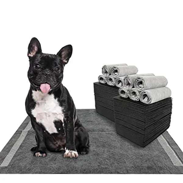 Dogcator Charcoal Training Pads 100 Count, 22"x22" Puppy Pads for Small Dogs, Activated Carbon Dog Pee Pads, Disposable Puppy Pads Pet Training Pads