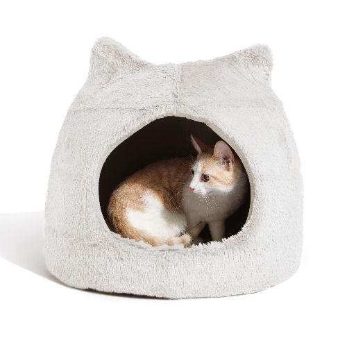 CAT BED heh