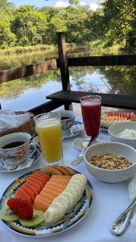 Brunch and mimosas 