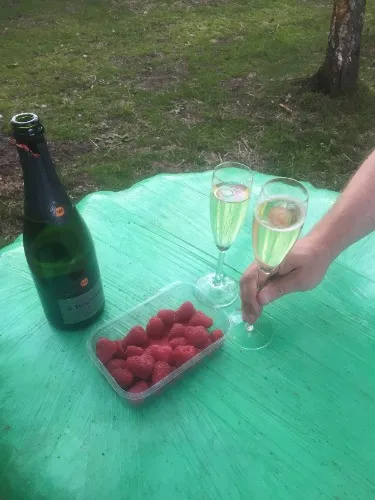 Hooibaal voor mijn paarden