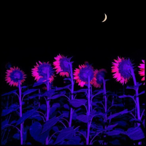 Adopt A Bill- Utilities