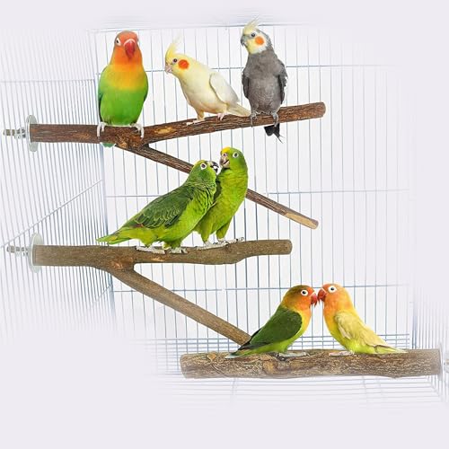4 Stück Sitzstangen für Vogelkäfige, Vogel aus Naturholz, Natur Sitzstangen Set, Natur Vögel Sitzstangen, Papagei Spielzeug Sitzstangen, für Papageien, Aras, Kakadus und Sittiche Verwendet