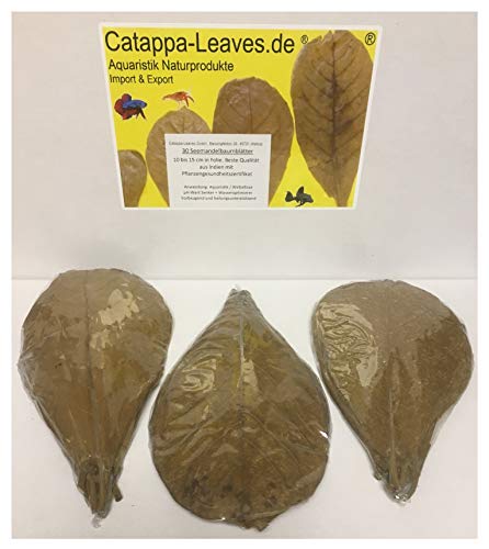 Catappa-Leaves.de Aquaristik Naturprodukte Import & Export 30 Seemandelbaumblätter 10-15cm Premiumqualität in Folie