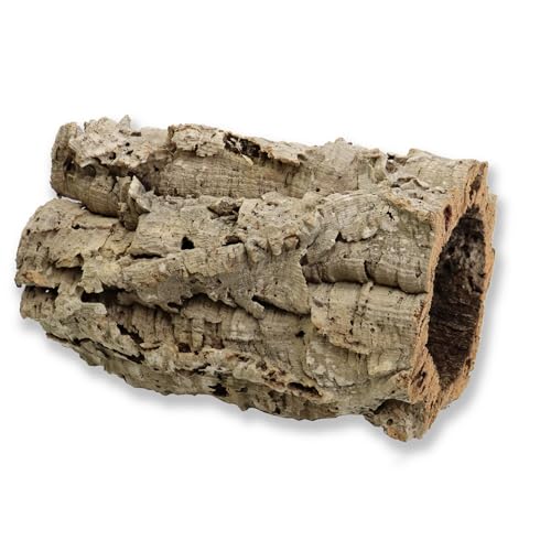 sphagnum-shop.com Korkeiche Rinde Korkröhren 30cm lang ca. 12-16cm Innendurchmesser Naturkorkrinde Terrarium Modellbau Deko - 1x 30cm